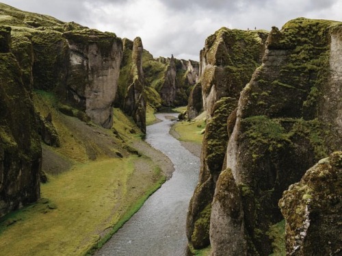 Issac Lane Koval captures the perfect mossy green splendor. #earthy #ancient #tones #iceland @isaacl