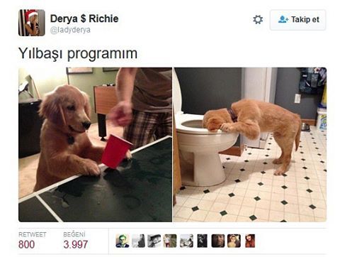 Yılbaşı programım