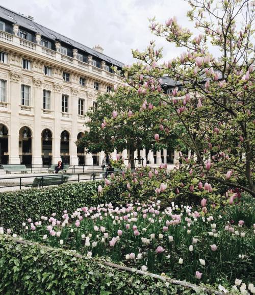 toujoursdramatique:  April in Paris // Ella Fitzgerald (at Jardin du Palais-Royal)