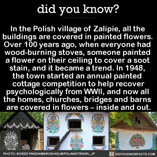 did-you-kno:   In the Polish village of Zalipie, all the  buildings are covered in