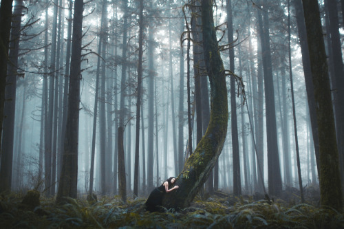 mystic-revelations:  Photography by Elizabeth Gadd  Tumblr