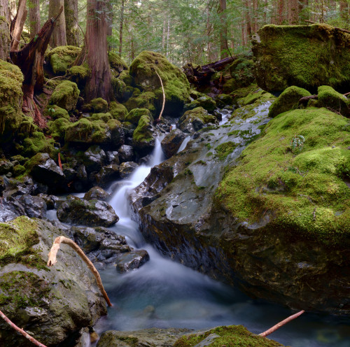 East Fork Lena Creek by Hesmeister