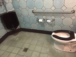mensrestroom:  Do people not know that a toilet can be used as a urinal as well?    Like what’s the point of having both in a single restroom? In case I needed to pee while someone was shitting?