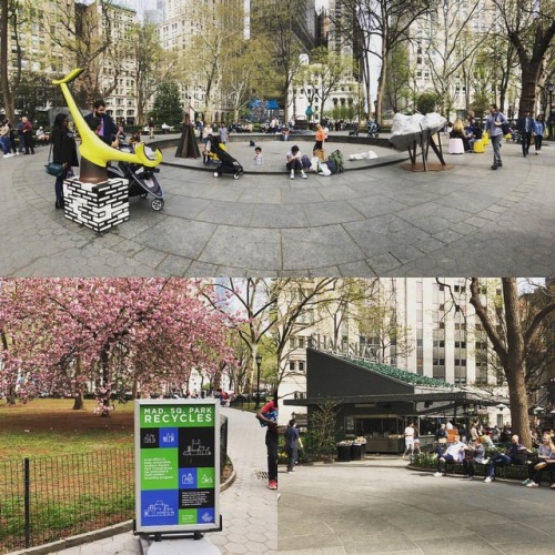 Spring is here! What better way to spend a weekend here than to drop by @madsqparknyc for a cool #GO