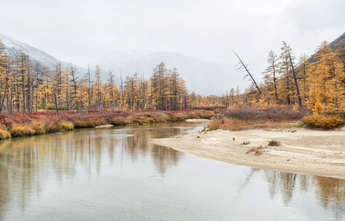 expressions-of-nature: Kolyma, Russia by Tonya Andreeva