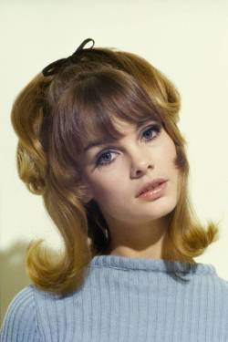 fawnvelveteen:  Jean Shrimpton