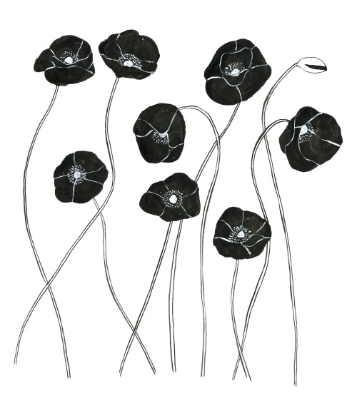 Nine black poppies. I tried to remember how nice it had been / a long long time ago / but I couldn’t