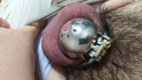 求个主人包养 可现实