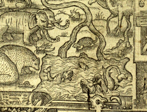 Garden of Eden - 1607 ‘Breeches’ Bible London Robert Barker fine engraving depicts not only a pair o