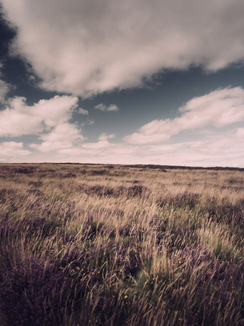 The Quantock HillsPhotographed by Freddie Ardley - www.freddieardley.com