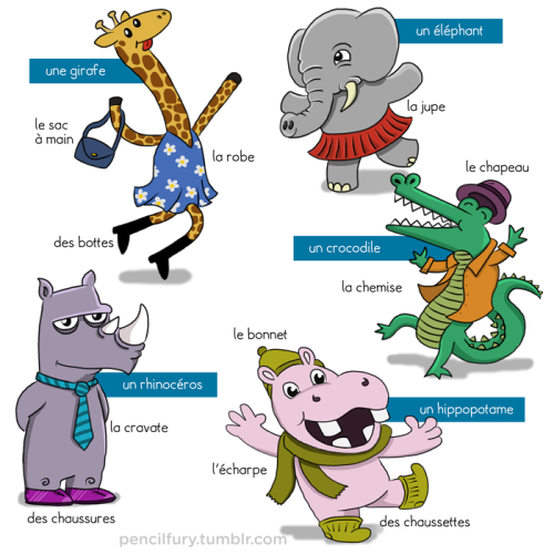 Les animaux et les vêtements, part 1. French vocabulary.