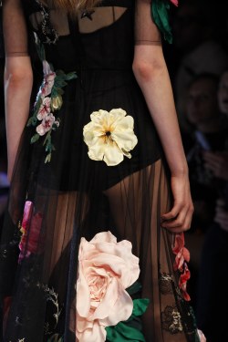 skaodi:    Details from Dolce & Gabbana