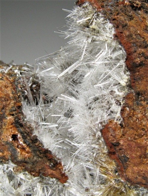 Scholzite on matrix - Reaphook Hill, Martins Well, Flinders Ranges, SA, Australia