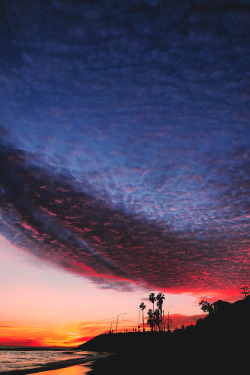 Shades of California Sunset | S.L.Δ.B.