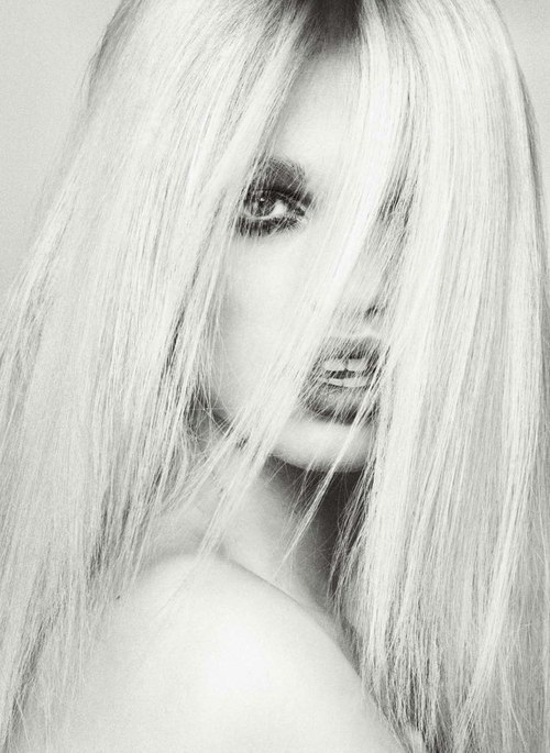 pivovaroward:  Daphne 