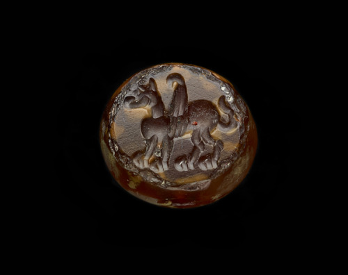 ancientpeoples:Sasanian stamp seals: male bust with laurel and pearl earring; griffin; winged horse;