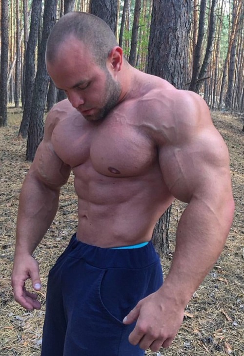 gentlemenprefermuscle: dumb-jock-bro-in-training: awesomestefangermany: Bulat Aliev A true meathead 