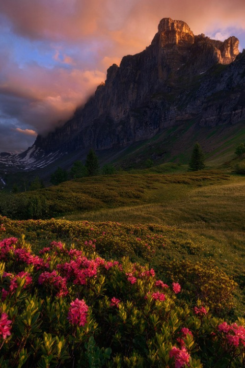 sundxwn:  Crimson Tower by Enrico Fossati 