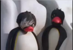 officialnoot:  officialnoot:  it’s not