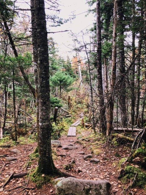 livefreeortour:caps ridge trail to jefferson