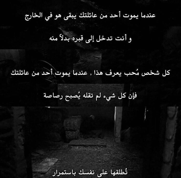 tumblr_p66eoq4QKd1umj3rmo3_1280.jpg