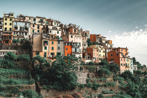 Corniglia, Cinque Terre. One of the most beautiful places in the entire world.