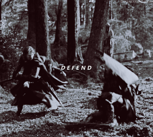 wanderinghurin: “Boromir’s a traditionalist - defend, defend, cut. He uses a balance of 