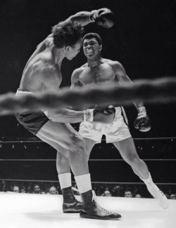 bestofboxing:  Ali drops Cleveland Williams