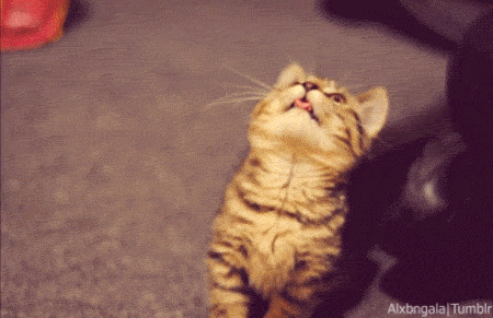 Just look at him awww