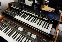 kanndennliebesynthiesein:   NEW IN THE STUDIO  - Tom Oberheim SEM patchpanel- KORG 900PS, KORG 800DV (maxiKorg) - Hammond P 100 Organ, made in Hamburg ca.1965 - Wurlitzer E-Piano (school model) - MFB URZWERG PRO, 32 step Stepsequencer - casiotone