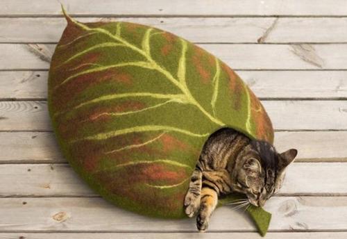 figdays:“Leaf” Cat Bed //elevele 