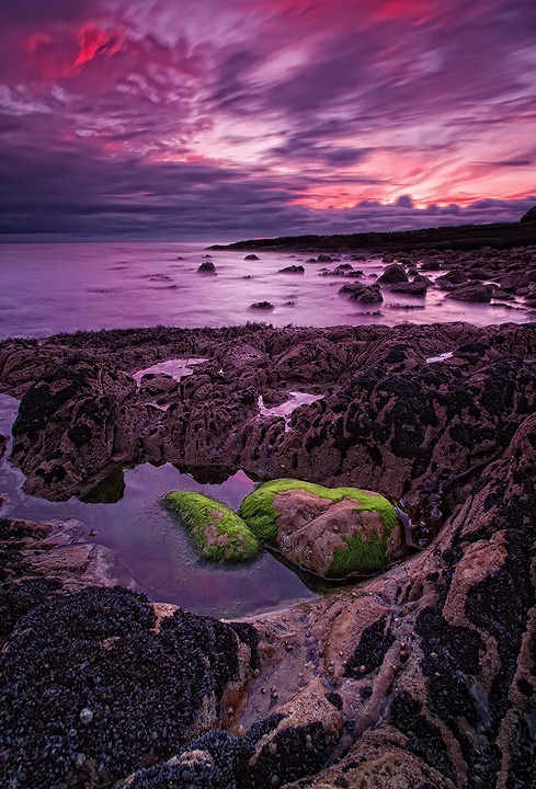 Porn photo drxgonfly:Rock Pool (by Kelvin Gillmor )