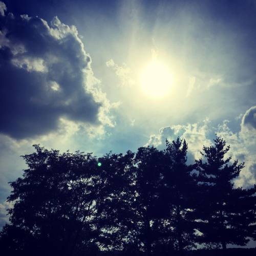 Looking up. #fttryon #WashingtonHeights #Inwood #nyc #manhattan #newyorkcity #newyork #nature #skyli