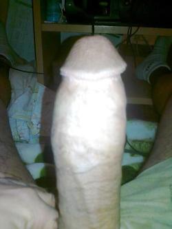 arabcocklovers:  Big cock from Morocco, gros