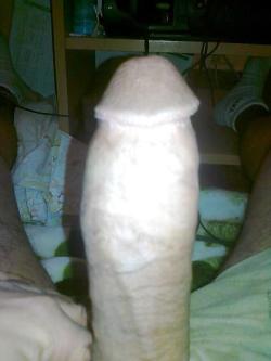 Moroccan huge dick.