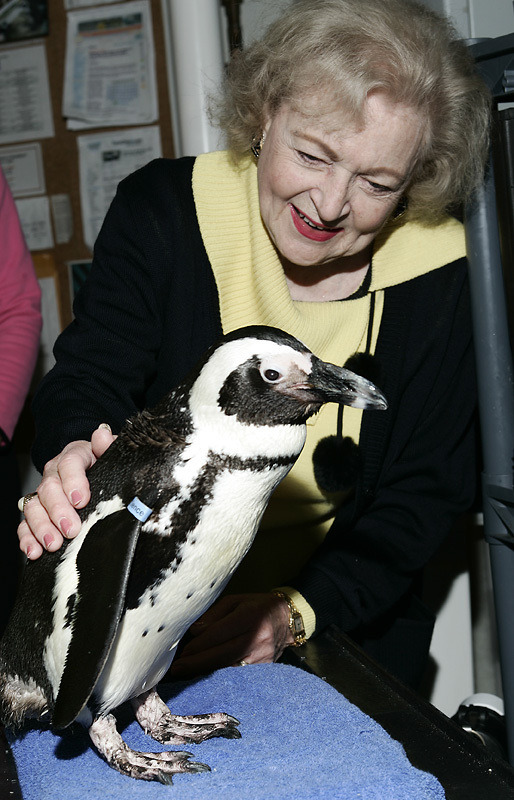 Betty White, wearing a pale yellow and black sweater, smiles brightly as she gently pets the back of an African penguin at the Aquarium. 