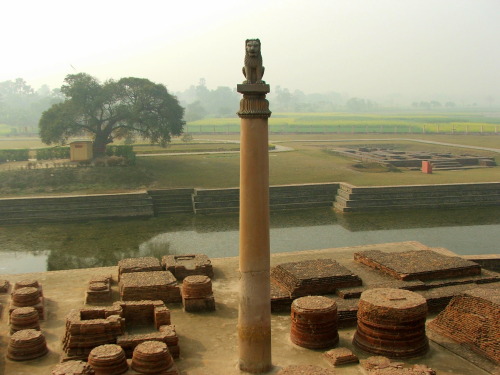 Asoka pillar at Lumbini, birthplace os Buddha, Nepal