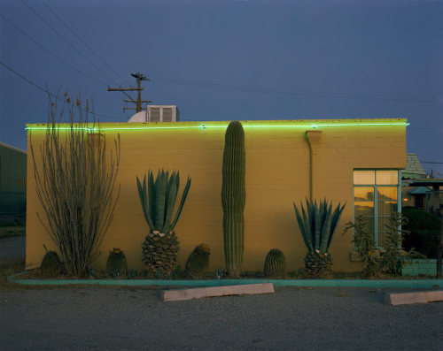aubreylstallard: Steve Fitch
