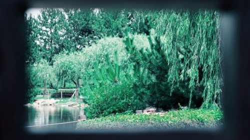 Please Be Healed By The Greenery You See.
