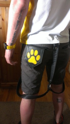 pupoutgear:  Pocket Paw Flag by pupOUTgear