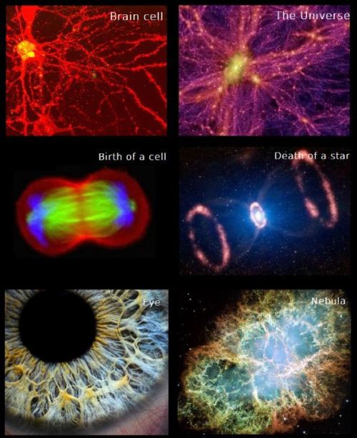 spinningblueball - Just How Closely Are We Connected To Our...