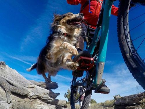 mtbdirty:  @crankbrothers_sports ・・・ It’s only #monday and I’m already thinking about the weekend! #