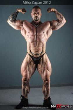 musclelover:  Solid, vascular muscle god….amazing