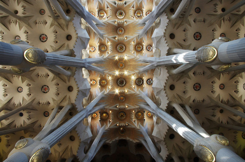 Sagrada Familia by AC84 on Flickr.