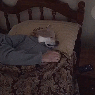 thenatsdorf:  Finley’s morning routine. [video] 