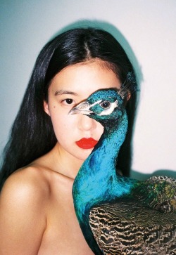 tru:  Ren hang