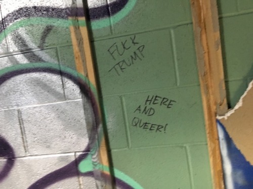 queergraffiti:muttpunk:Milford, CT“fuck Trump”“here and queer!”