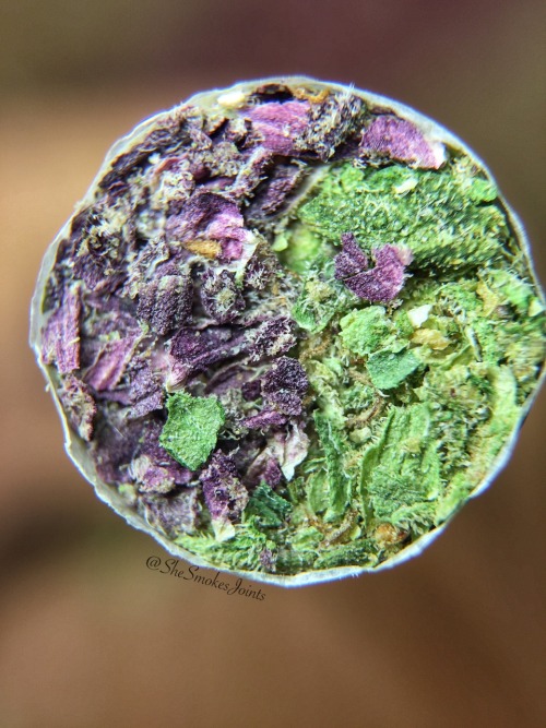 shesmokesjoints:  Balance ☯ Same joint, different lighting 