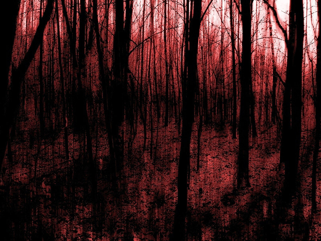 Dark forest