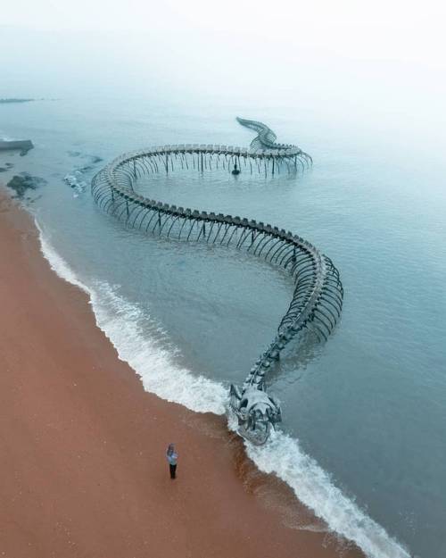 blue–folder:Serpent D'Océan, Saint-Brevin-les-Pins, France